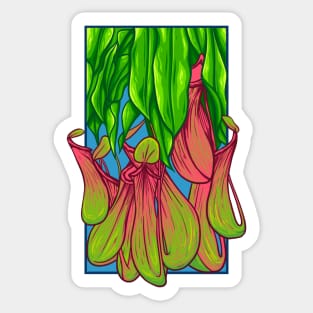 Vintage doodle illustration of Nepenthes Sticker